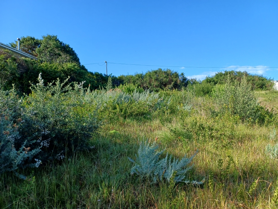 0 Bedroom Property for Sale in Kingfisher Creek Western Cape